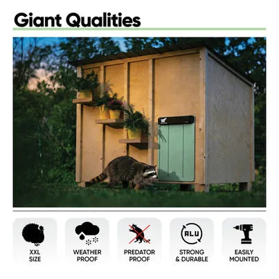 Avtomatska XXL vrata za kokošnjak RUN-CHICKEN, Giant - slika 15