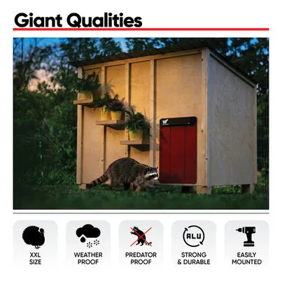 Avtomatska XXL vrata za kokošnjak RUN-CHICKEN, Giant - slika 9