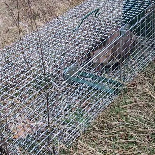 Past za zajce, podgane in kune - slika 2