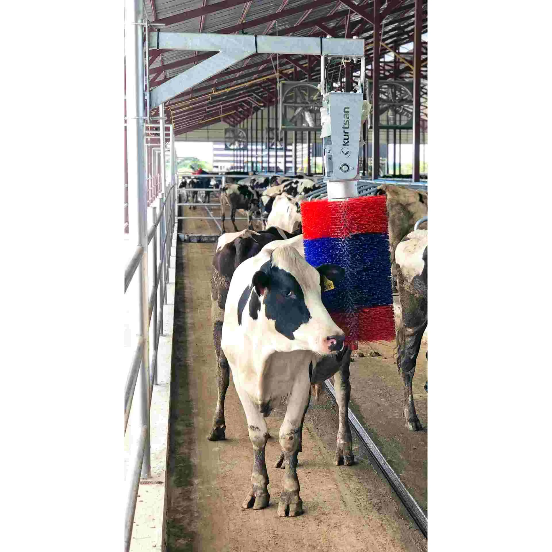 Električna krtača za govedo Kurtsan - slika 2