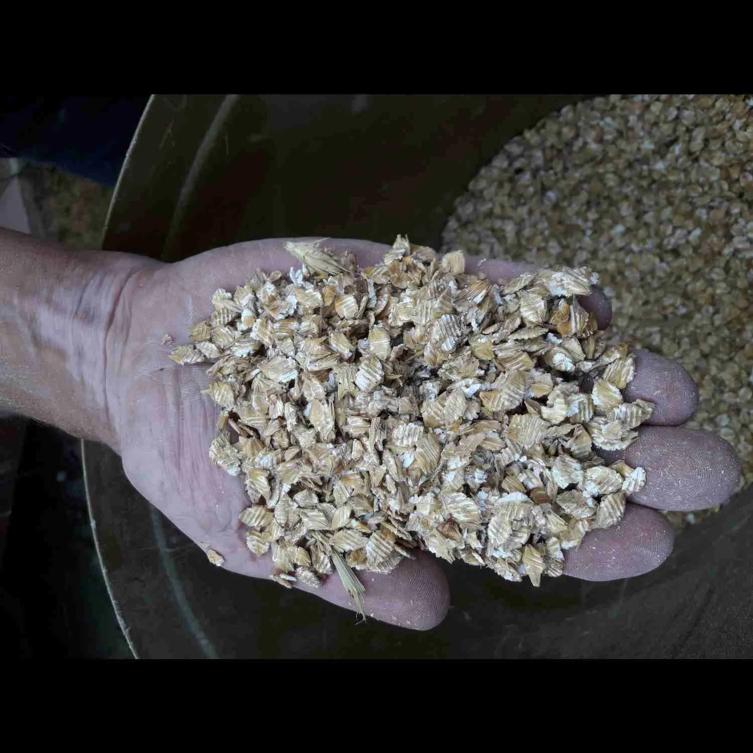 Preša za zrnje Kurtsan do 1200kg/h trofazna - slika 5