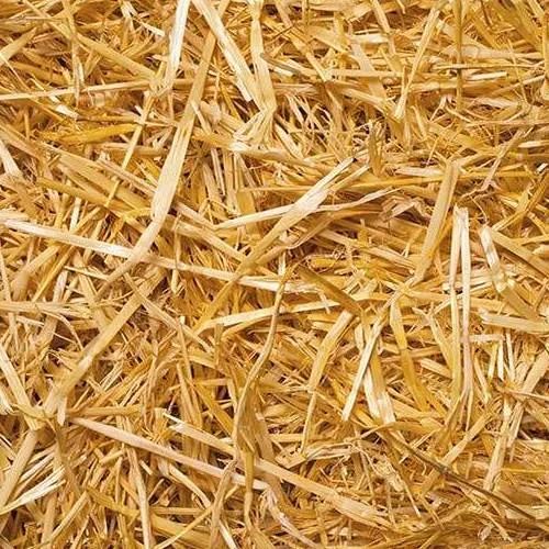 Slama Lenabox - slika 8