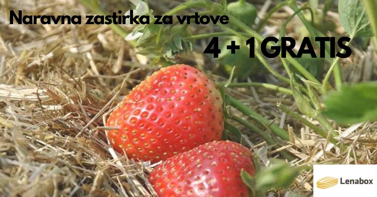 Slama Lenabox - slika 7